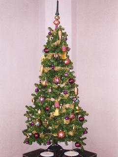 sd_12
